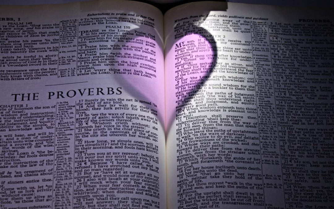 The reflection of a purple heart on a Bible