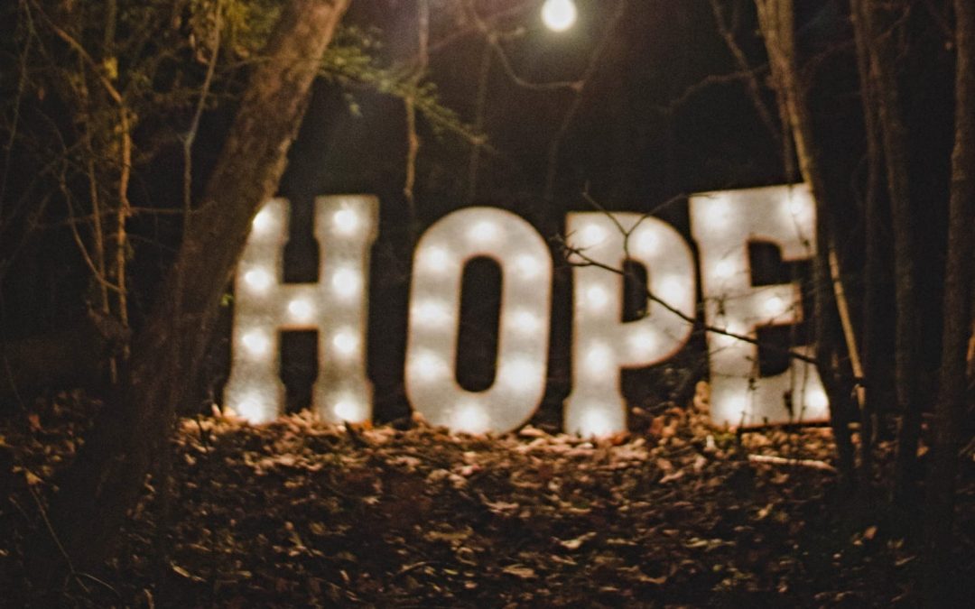A metal sign that spells out hope with lights in a forest