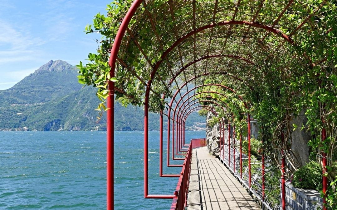A red metal trellis with green vines by the ocean