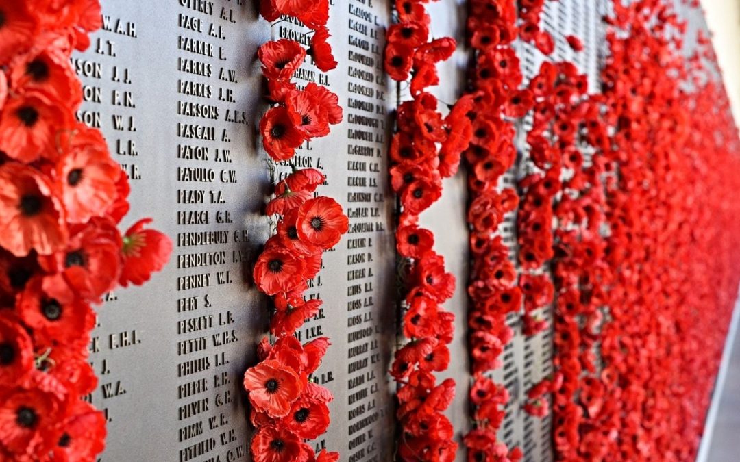 Red poppies adorning monument to war dead