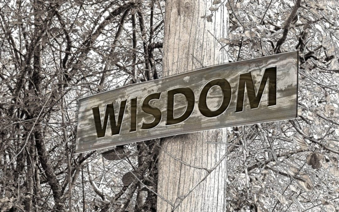 Sign with word ‘wisdom’ on a pole
