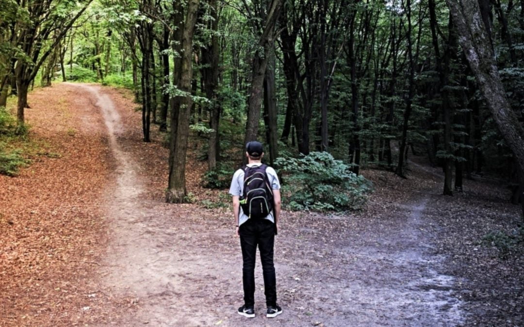 Hiker standing at crossroads of two walking paths in forest