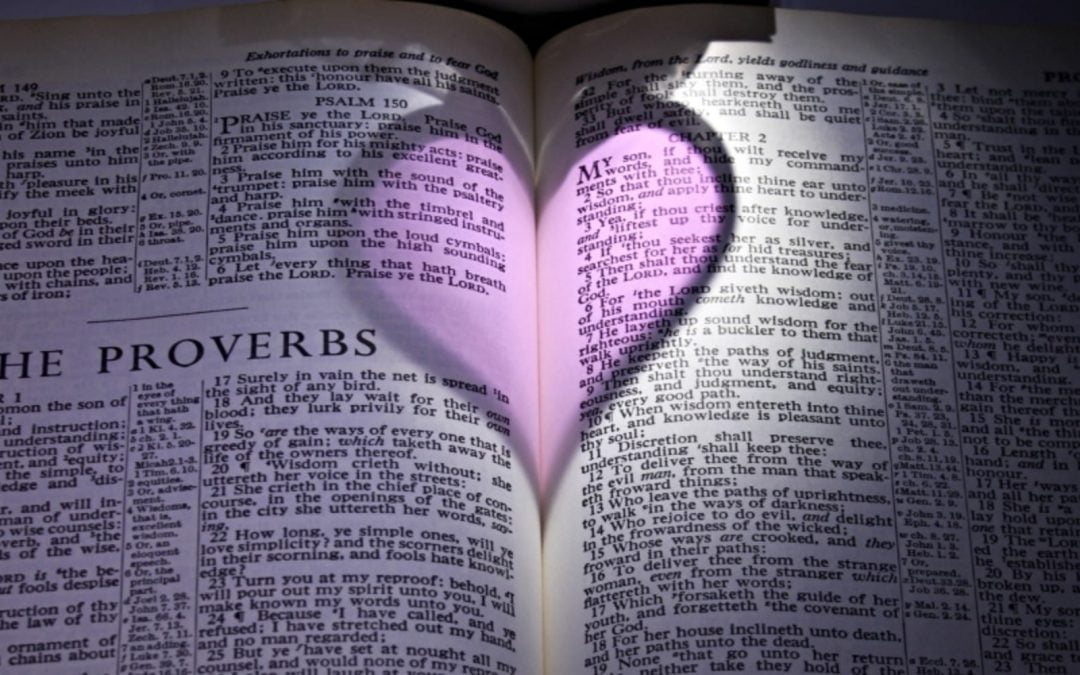 Pink heart-shaped shadow cast on Bible pages