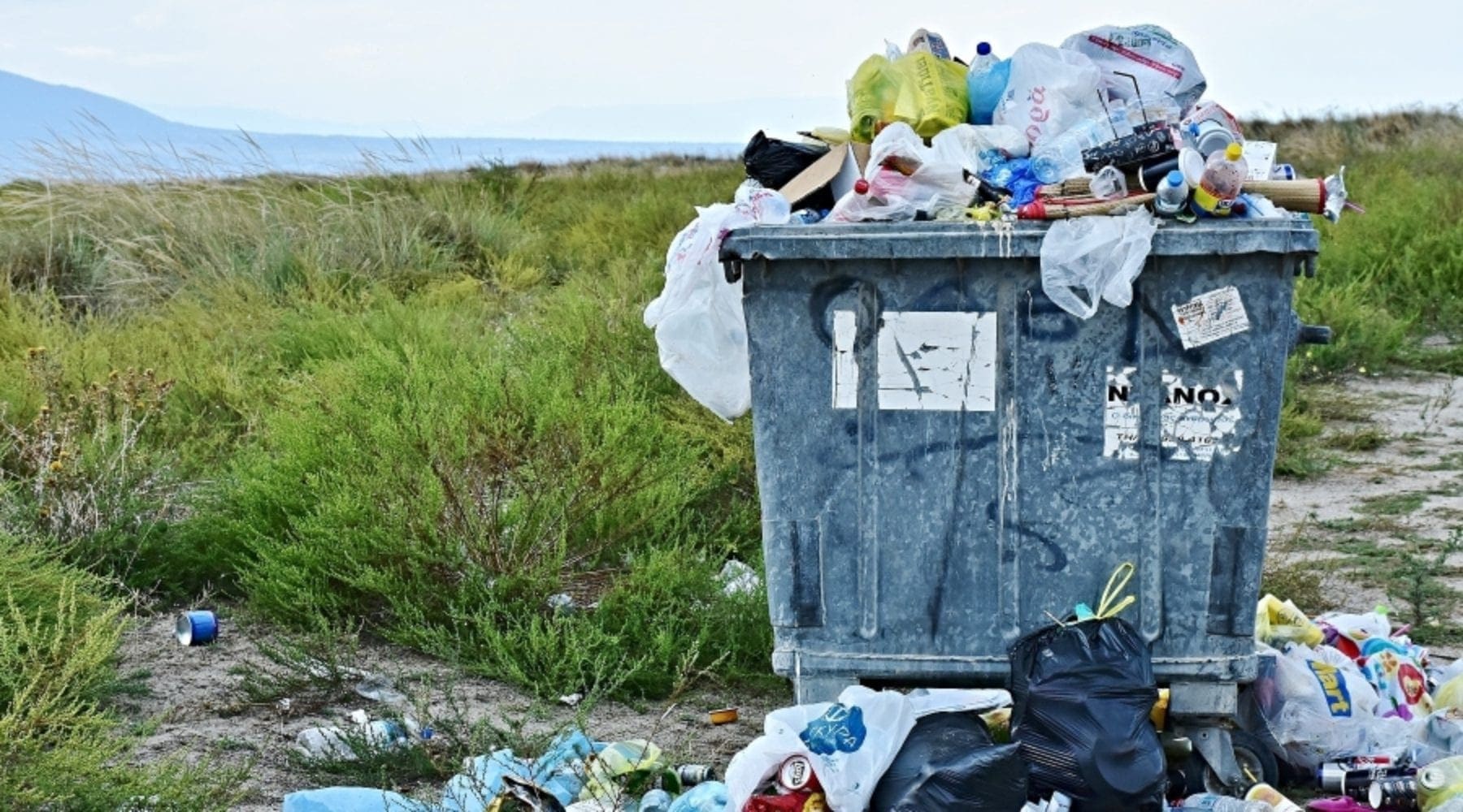 Report: Many ‘Recyclables’ Mislabeled, End Up in Landfill