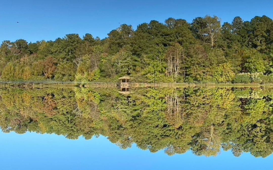 Bass Lake in North Carolina