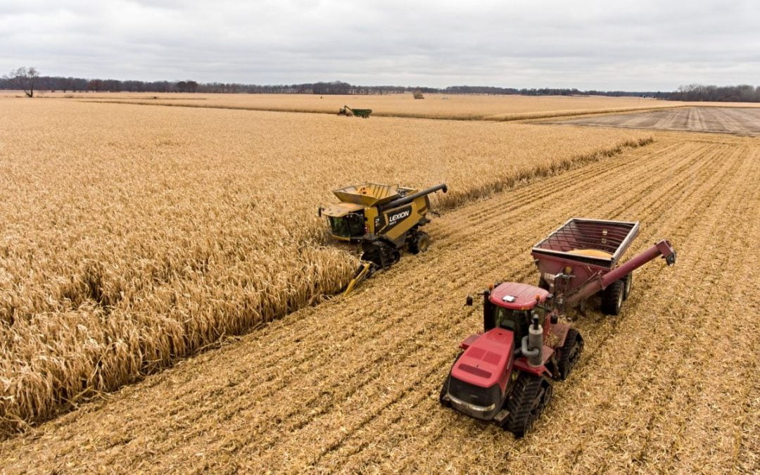 Combine and tractor harvesting crops