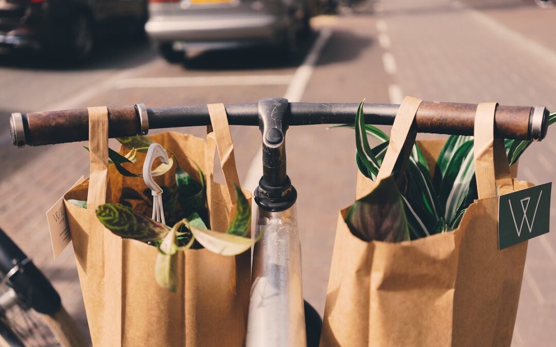 Bike handlebars with two brown paper shopping bags hanging from it with green plants inside.