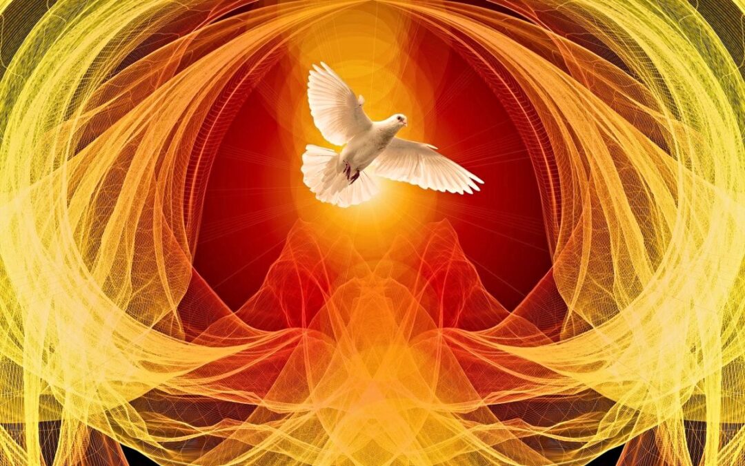 Dove in flight in front of fiery orange waves