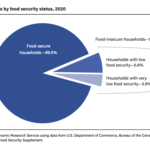A pie chart noting the percentages of U.S. households facing food insecurity in 2020.