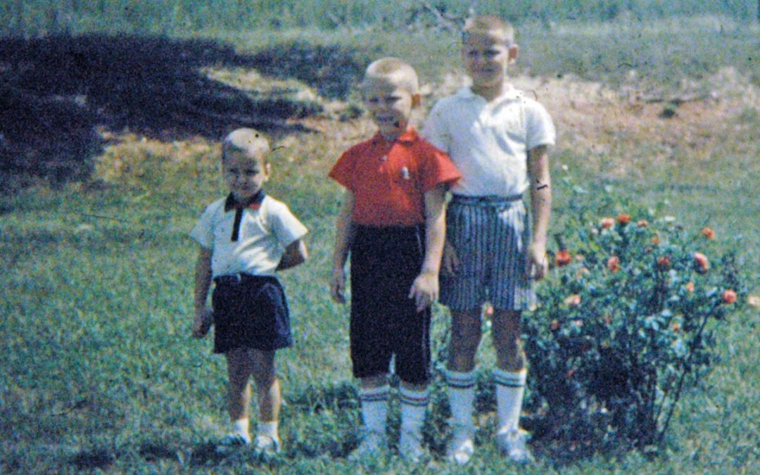 Three boys standing outside next to a rosebush.