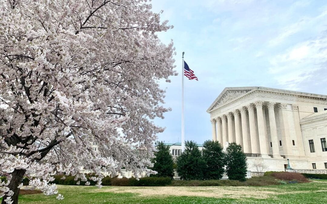 The exterior of the Supreme Court of the U.S. with a U.S. flag out front and a tree with white flowers in the foreground.