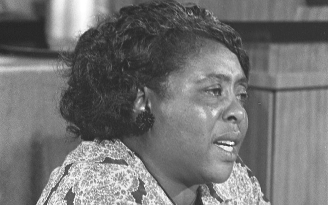 What Can Moses, Aaron and Fannie Lou Hamer Teach Us About Freedom?