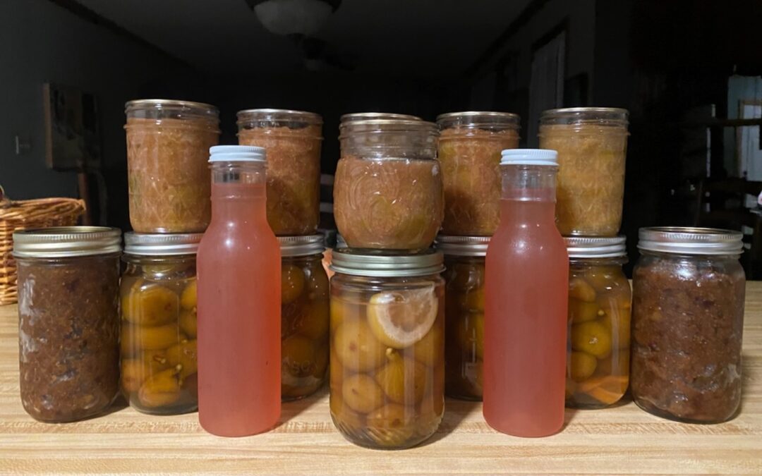 Jars of fig preserves sitting on a table.