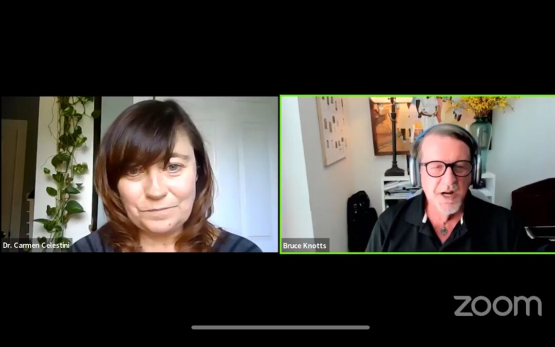 A screenshot of a webinar with two people seen on screen next to each other.