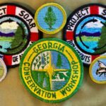 Several patches from the Boy Scouts and other organizations related to environmental projects.