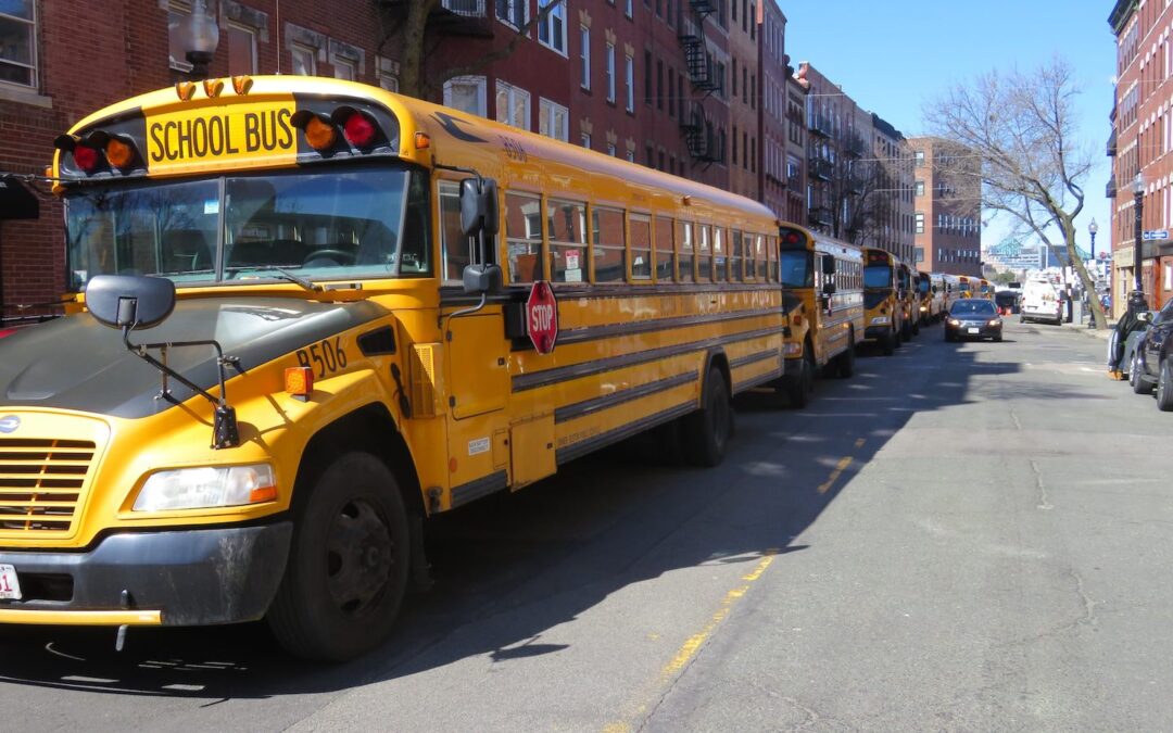 A line of yellow school buses parked on a city street.