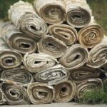 A stack of rolled up newspapers on a lawn