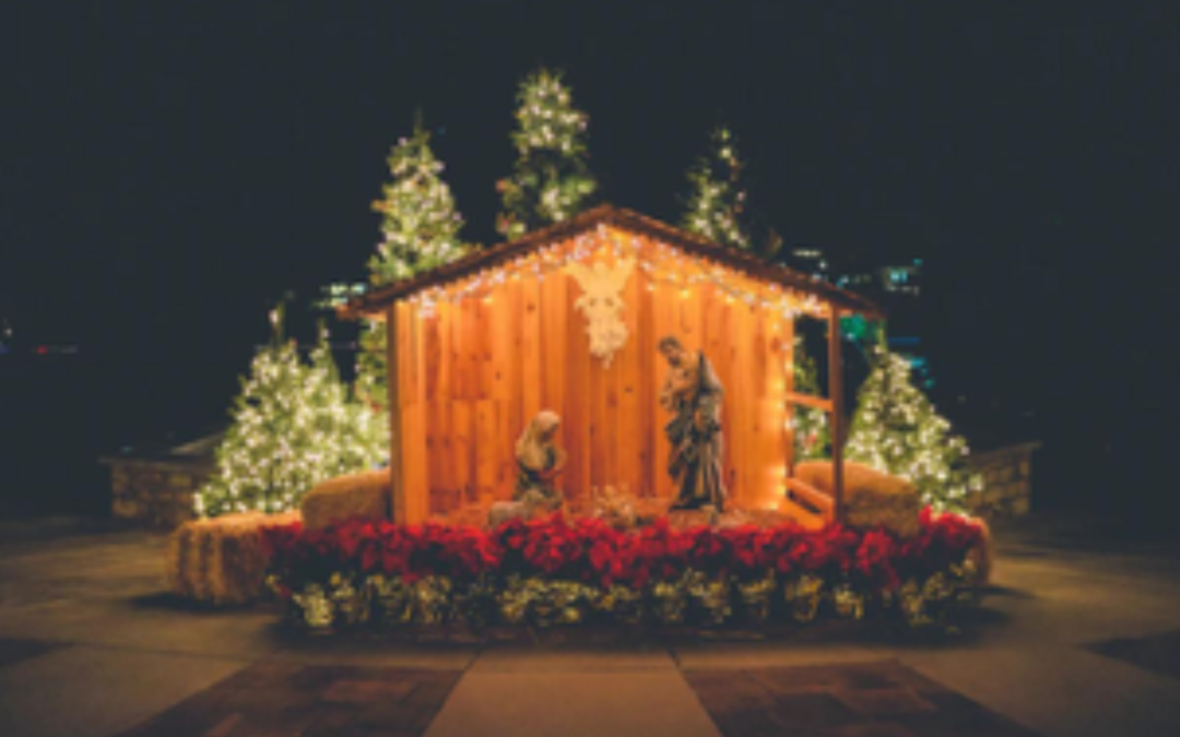 An outdoor nativity scene flanked by Christmas trees.