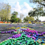 An empty street littered with Mardi Gras beads.
