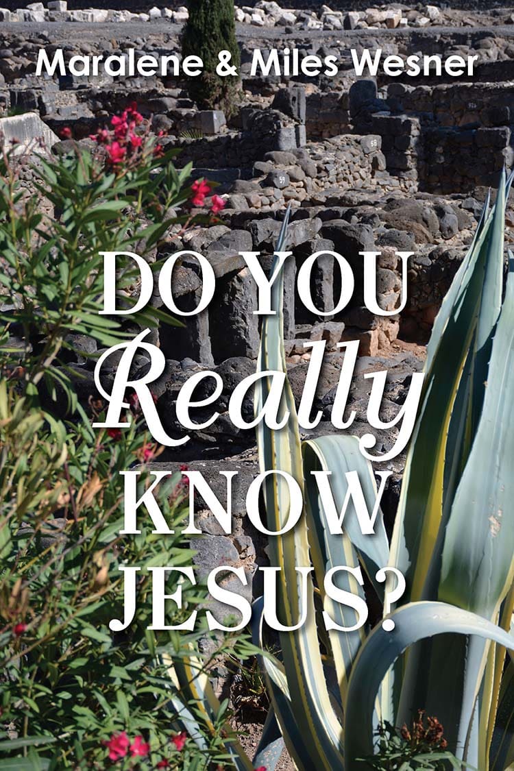 Do You Really Know Jesus? - By Maralene and Miles Wesner - Image 2