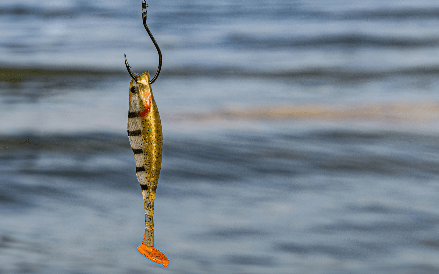 A minnow on a fish hook.