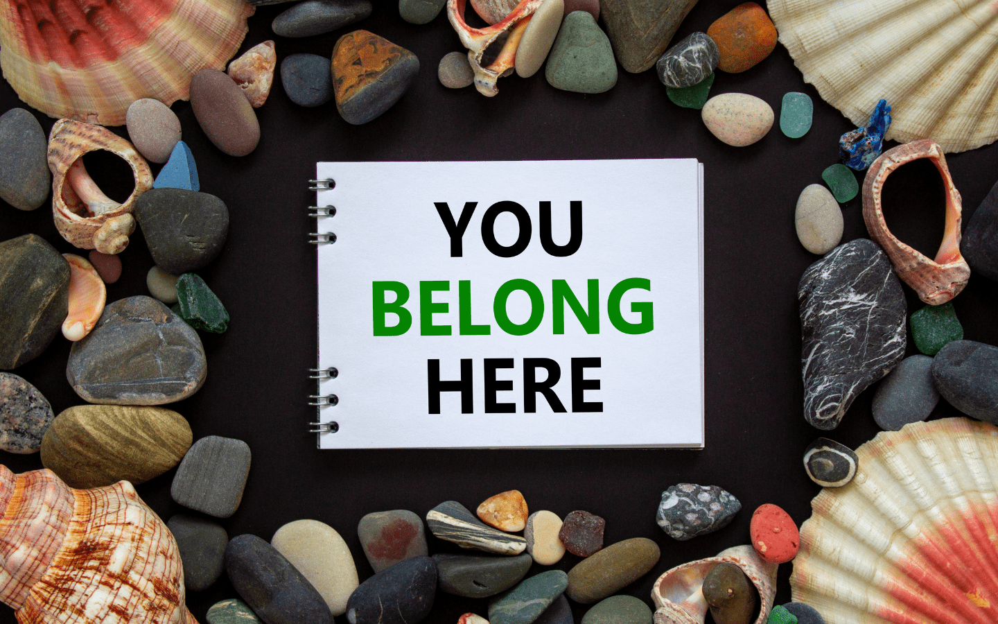A photo of shells with a sign reading “You Belong Here.”