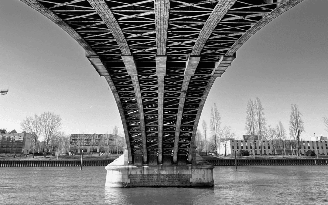 Building Bridges in a Divided World: 7 Ways to Cultivate Unity