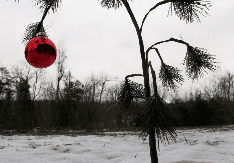 The Suspicious Relatives of Christmas