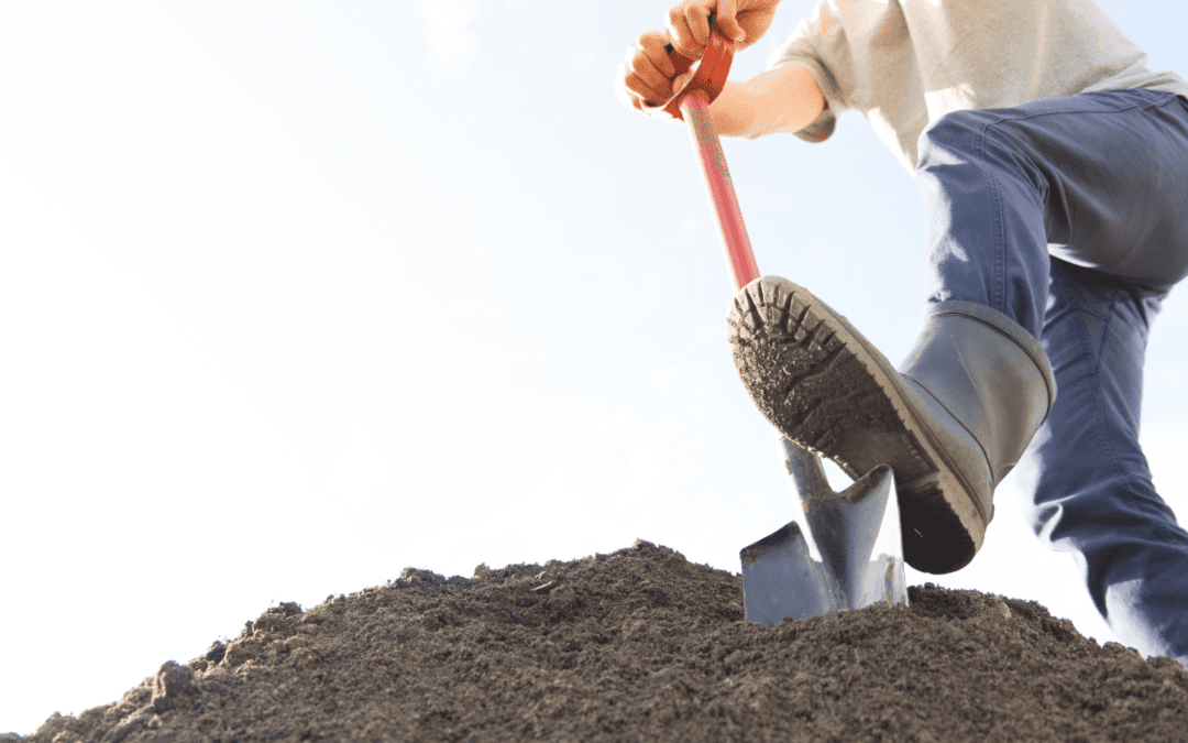 Lenten Excavation: An Invitation