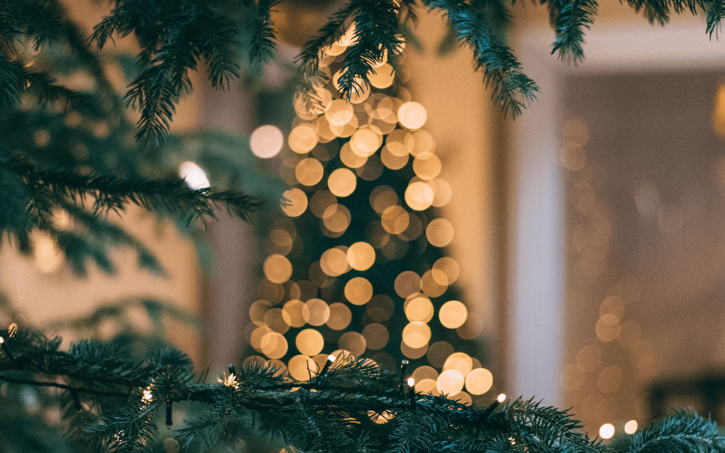 A Christmas tree seen through green tree branches.|