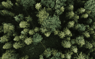 Mysticism and the Raceless Gospel