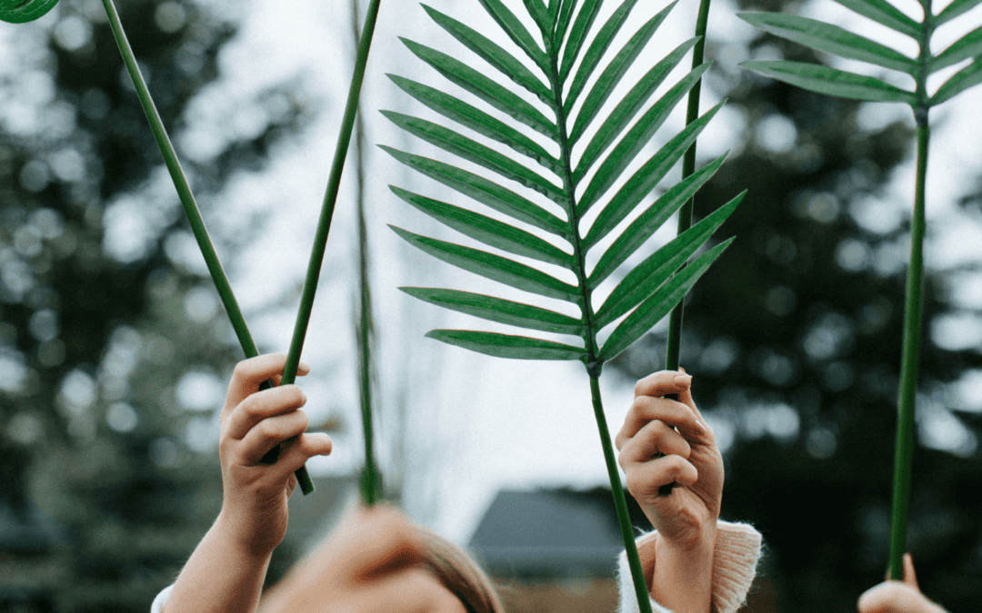 From the Archives | Palm Sunday: Jesus Doesn’t Fit Our Mold
