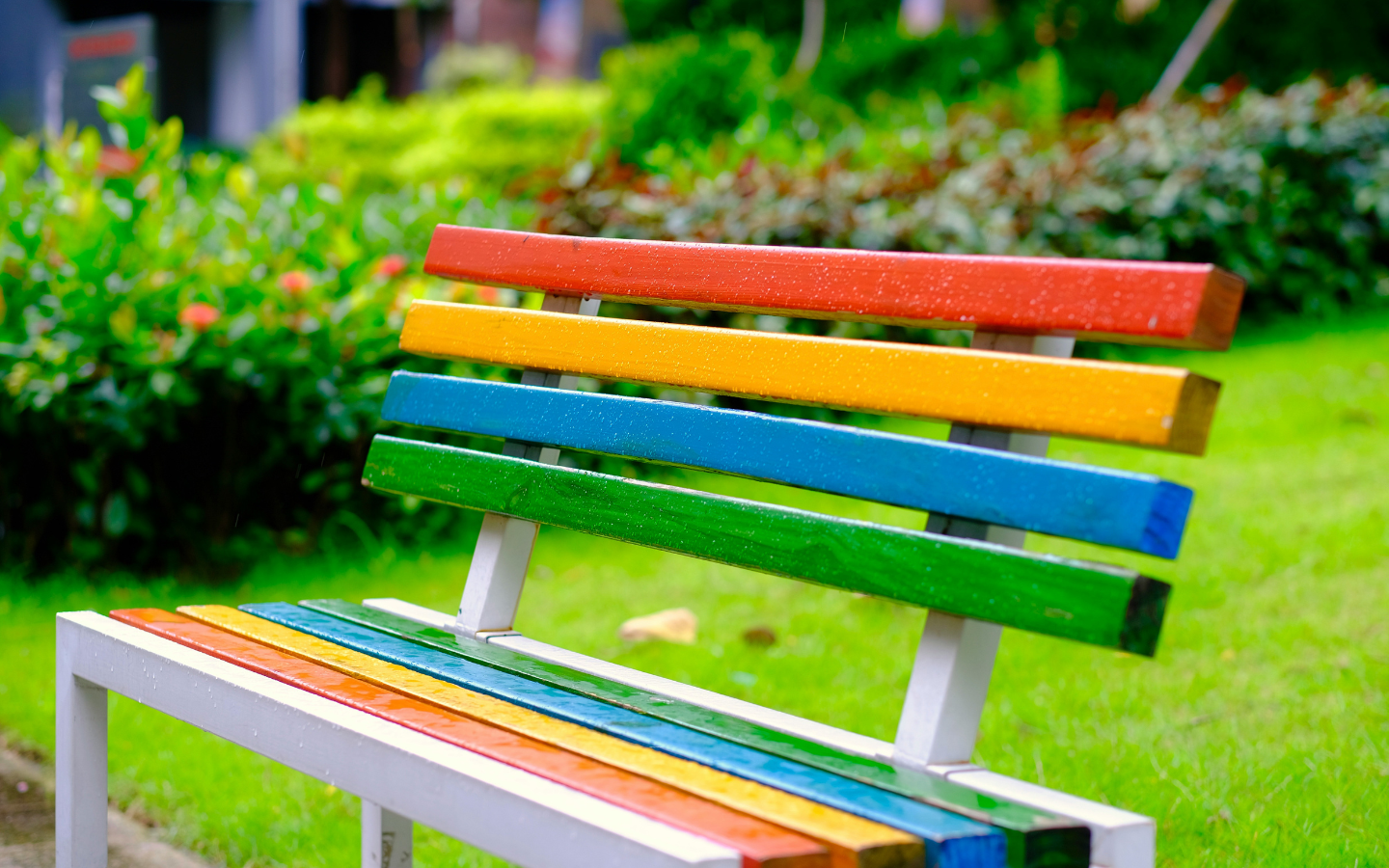A park bench painted in the pride flag colors