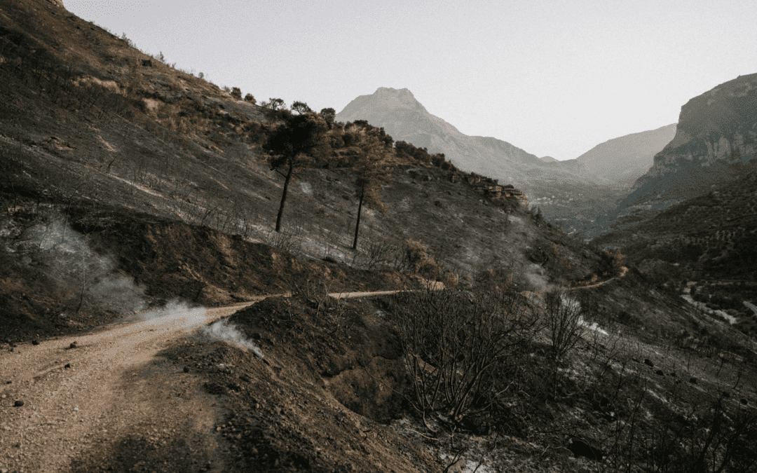 Healing Donald Trump’s Scorched Earth