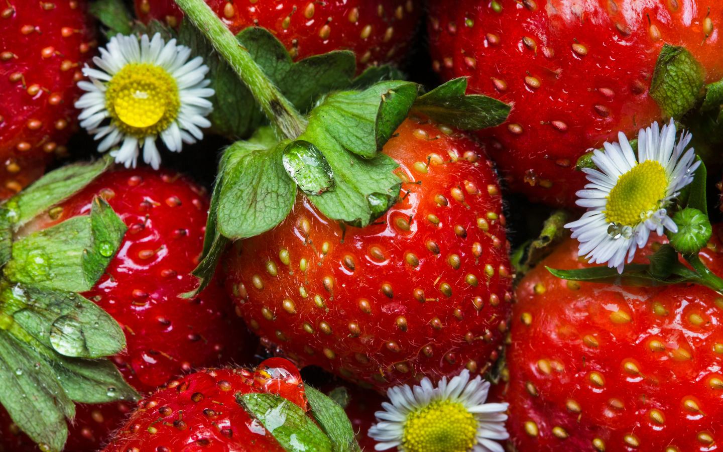 A photo of fresh strawberries.