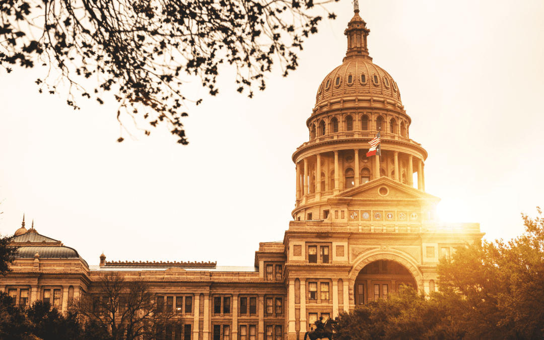 Interfaith Group of Texas Clergywomen Express Support for ‘Life of the Mother Act’