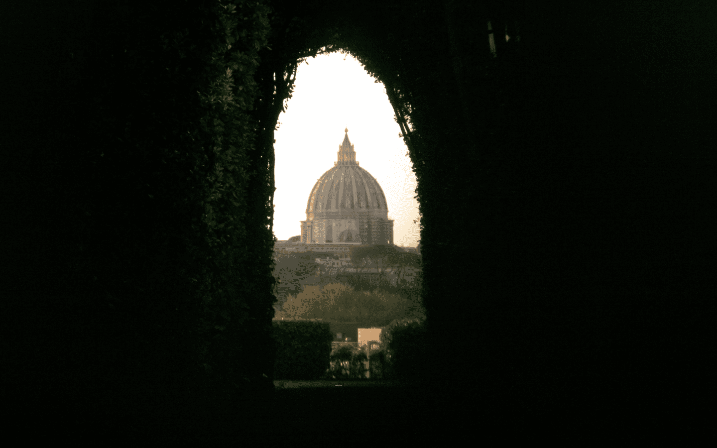|A photo of the Vatican framed through a clearing in a garden.