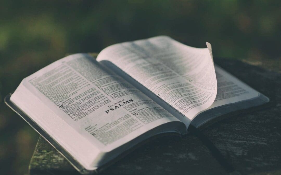 The Similarities and Differences Between Modern and Biblical Poetry