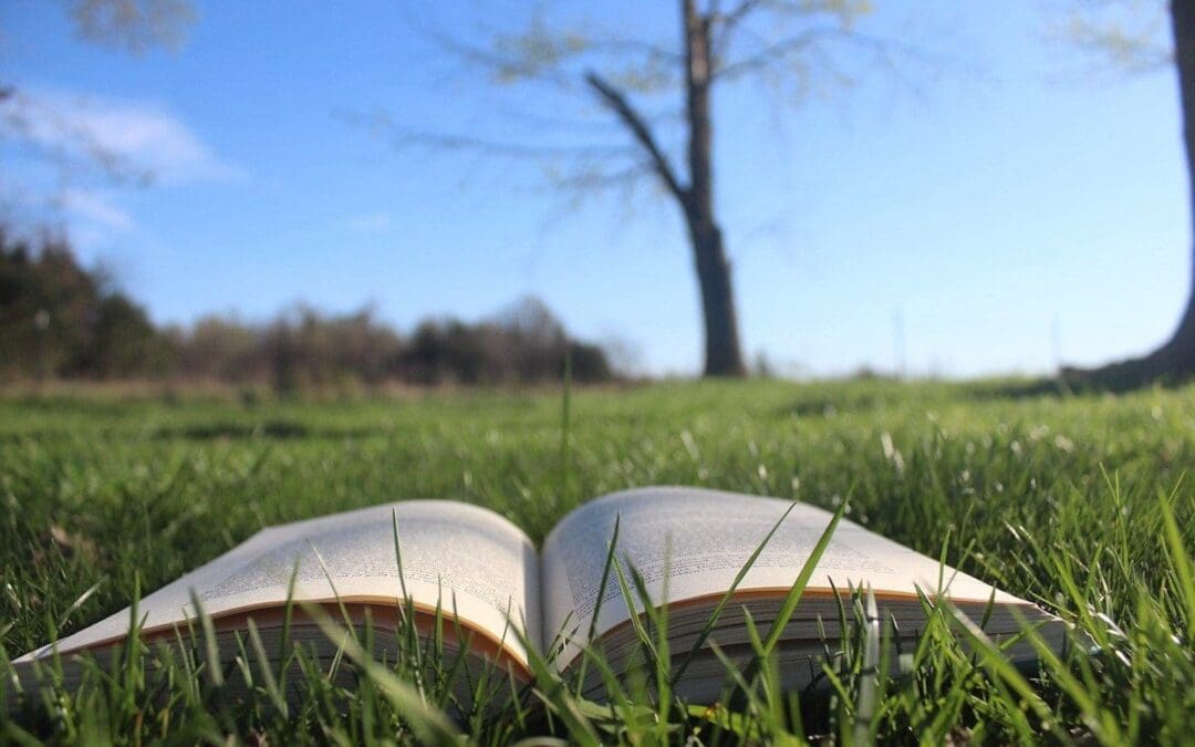 Look Back | Reading the Green Bible