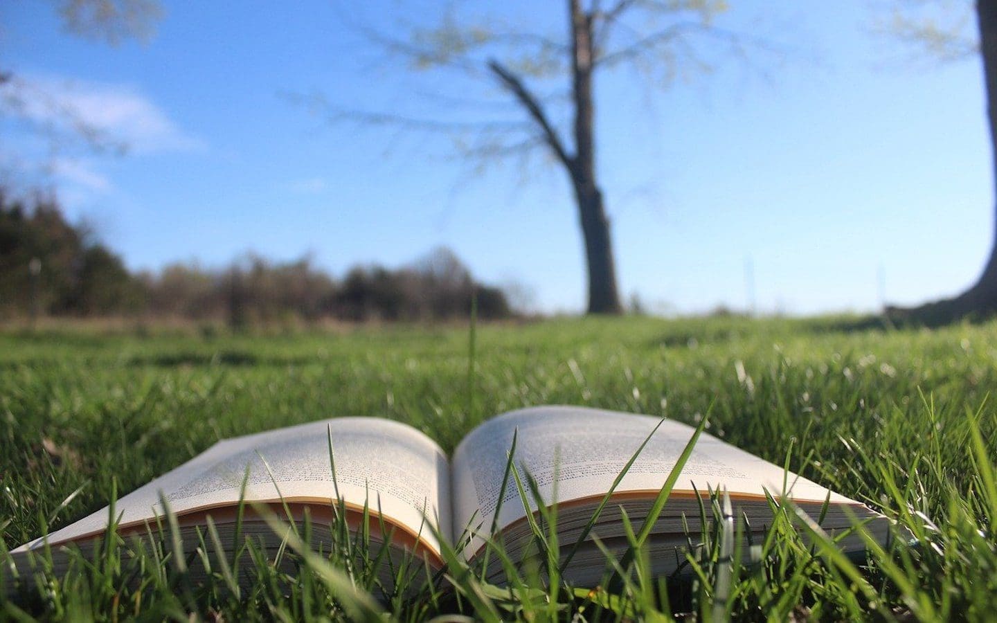 A book sitting in green grass with trees in the background.