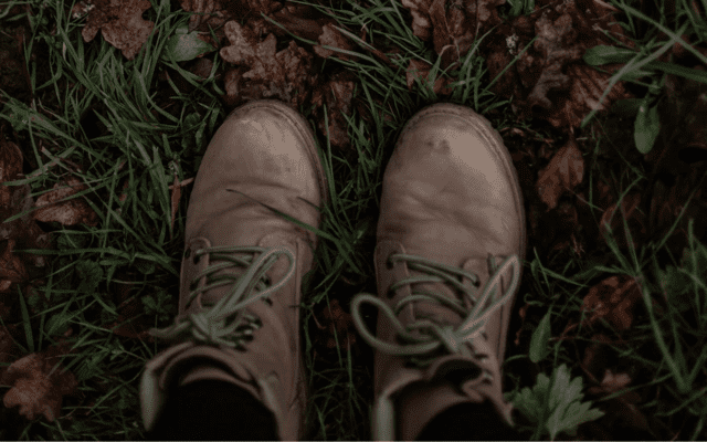 Wisdom Wherever You Find It: In Between