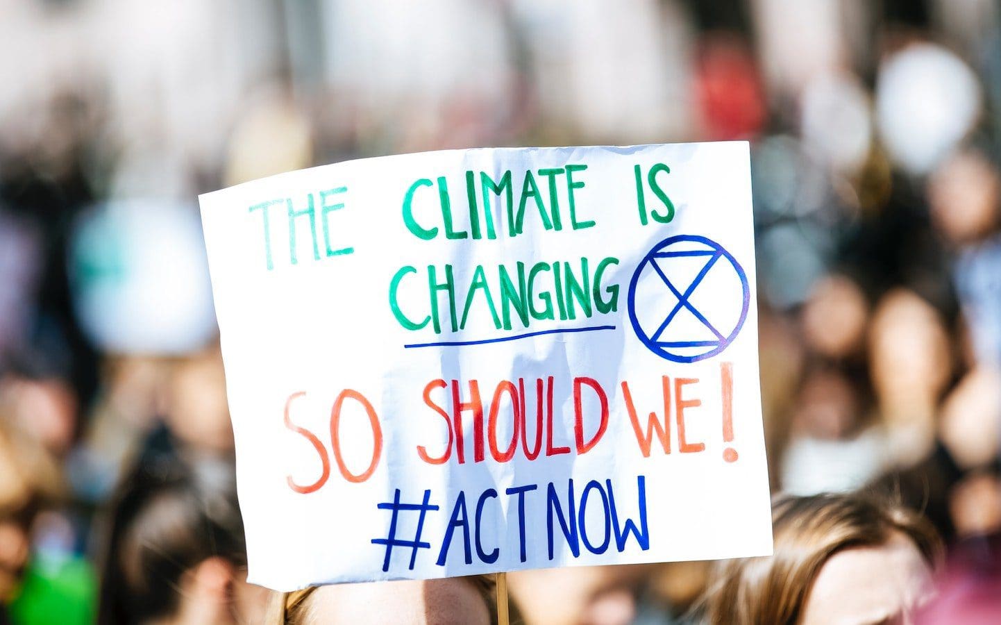 A person holding a cardboard sign that says