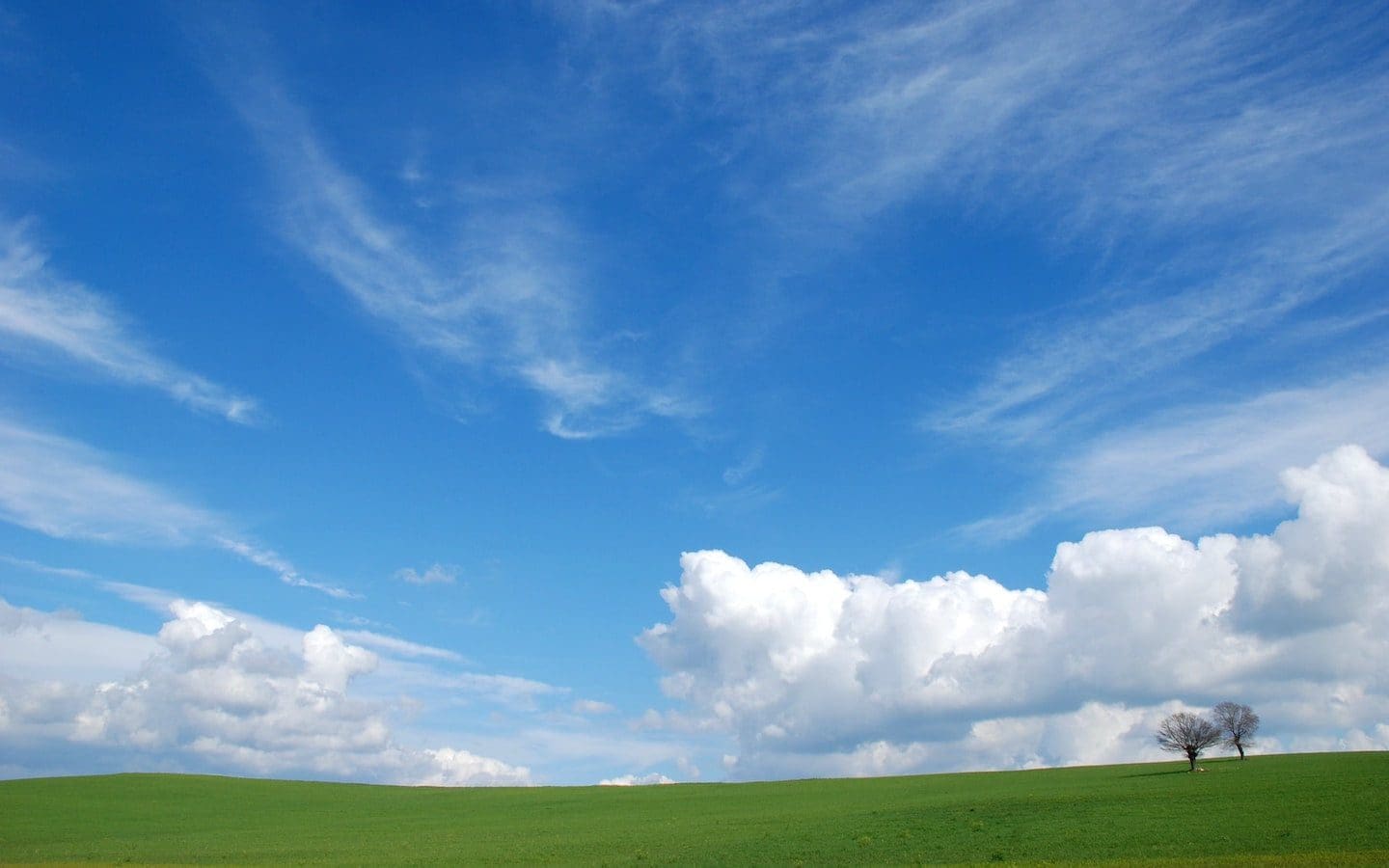 A green field with two trees and a blue sky with white clouds. John Claypool once observed that the Bible is written in the language of people and events.