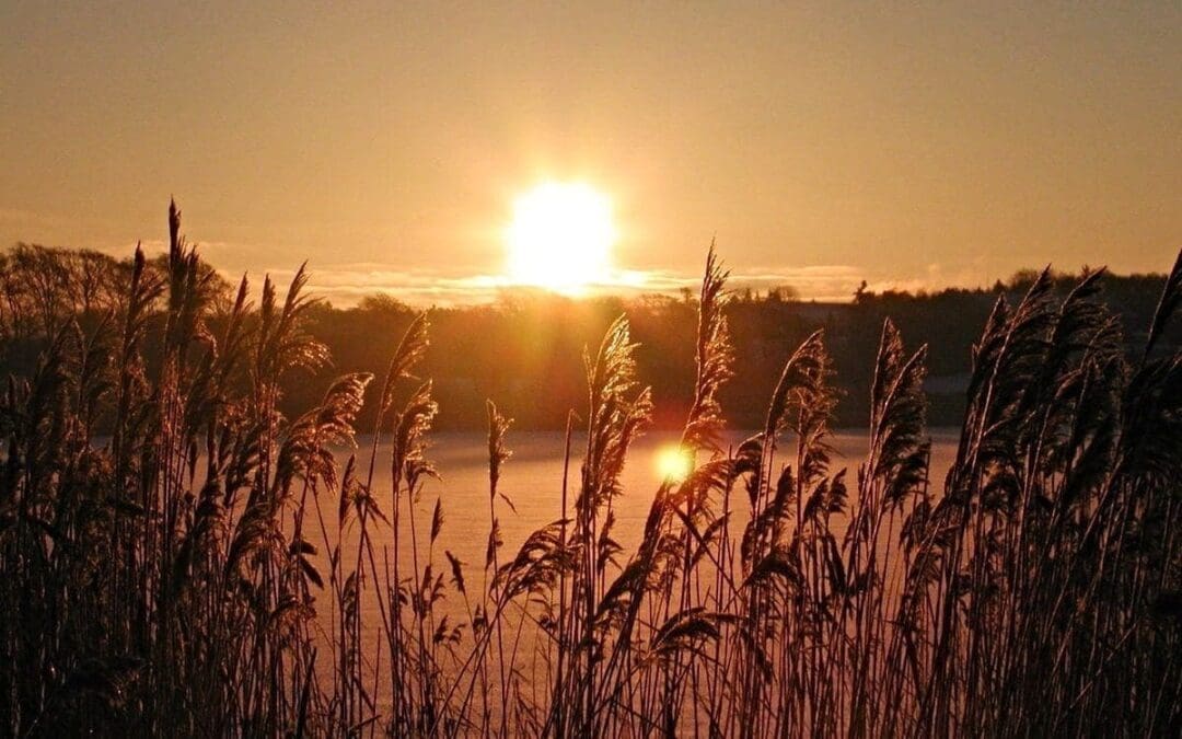 We Need Constellating Light to Follow King’s Path
