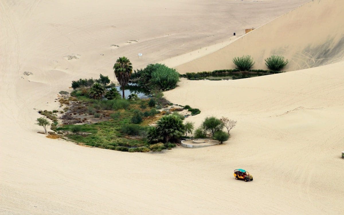 A desert landscape with a small oasis with green grass
