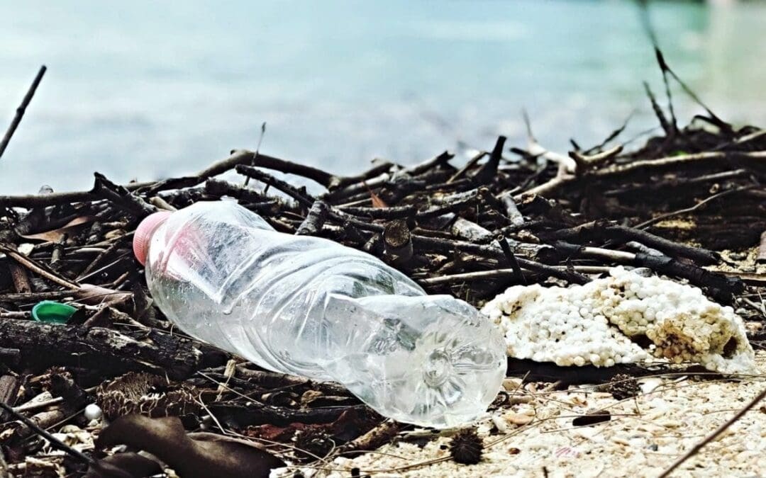 US Leads World in Plastic Waste Generation