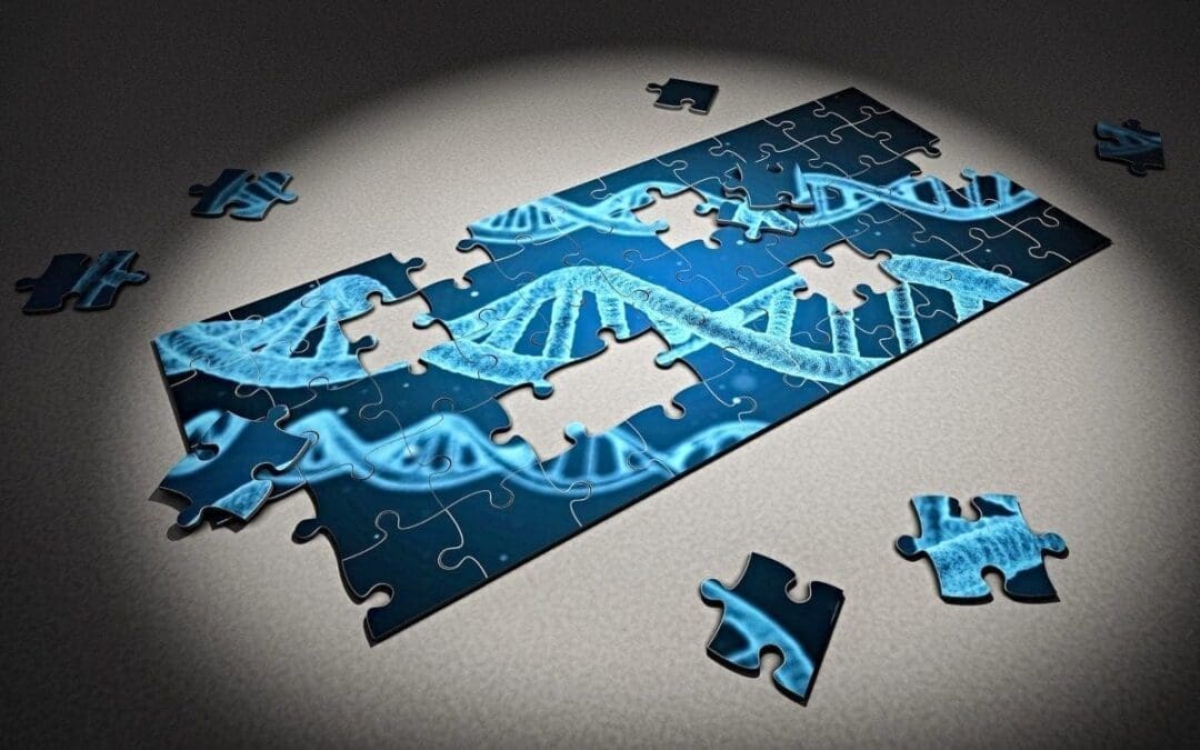 When We Use Science to Justify Our Racial Biases