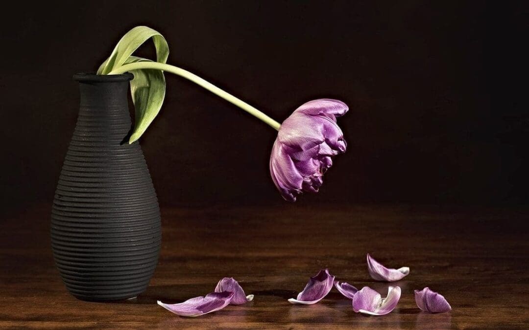 After Tragedy, How to Move Forward in Life