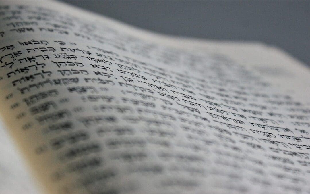 Holiness Code Envisions Communal Justice