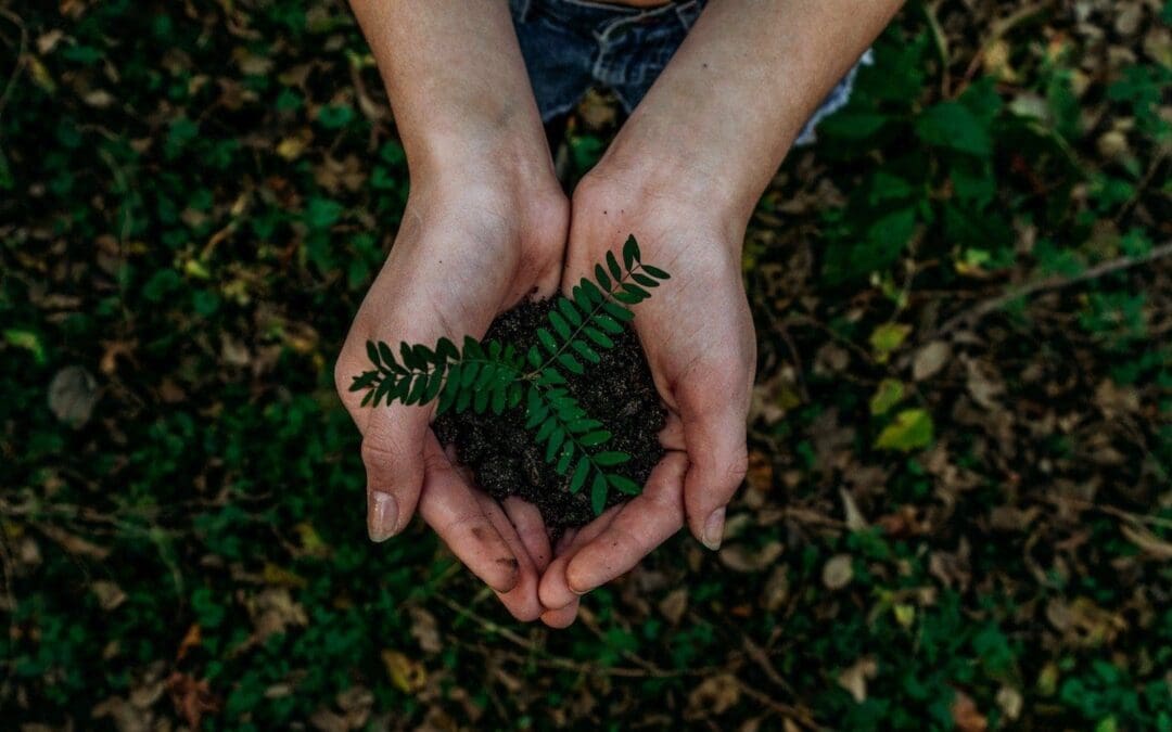 Lenten Lectionary | We Are Collaborators